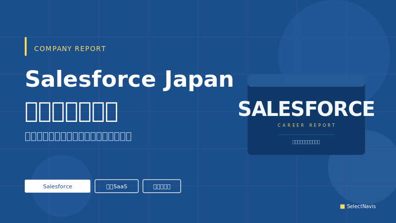 SelectNavis: salesforce